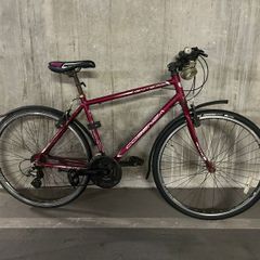 Men's Hybrid Bike Cosenza, Moving Sale Dublin