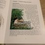The Really Useful Hamster Guide Image 3