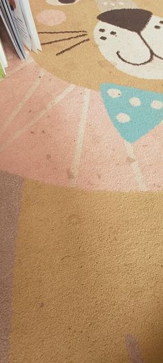 Rug 160x220