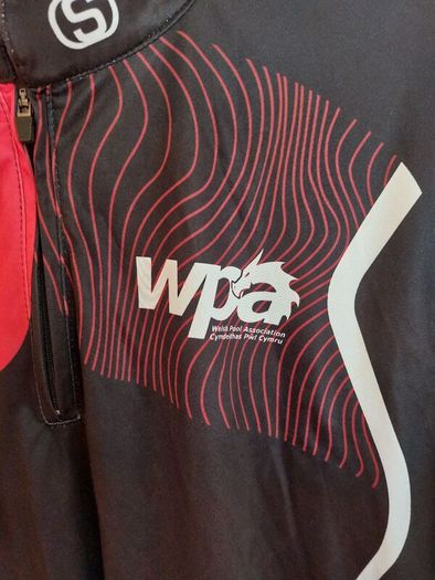 Wales pool jersey