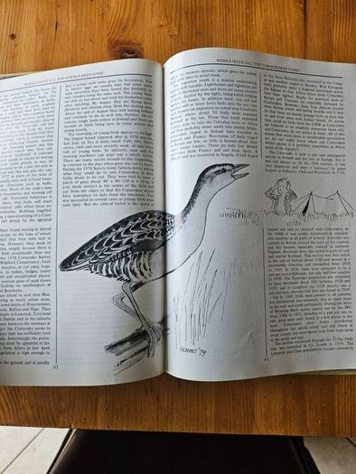 The Irish Wildlife Book. Edited By Fergus O'gorman. Illustrated By Gerrit Van Gelderen, Eamon De Buitlear And Richard Mills. First Edition Large Volume Hardback In Good Condition.