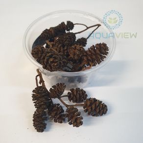 Alder cones 80ml