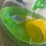 Hamster cage Image 3