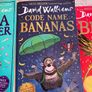 Various David Walliams Books Image 5
