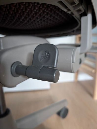 Herman Miller Celle V1 Office Chair