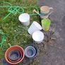 Garden pots Image 2