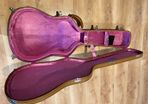 Gibson Signature Series Guitar Case