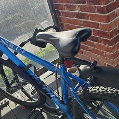 Apollo Bike