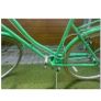Vintage Deluxe Bike Image 3