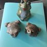 Ornamental Frogs Image 5