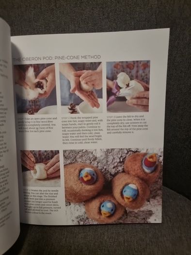 The Natural World of Needle Felting