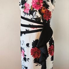 Joseph Ribkoff dress