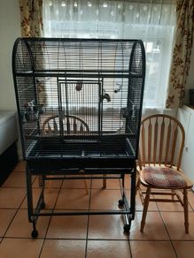 Large Parrot Cage