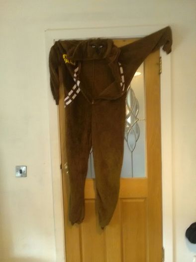 adult onesie