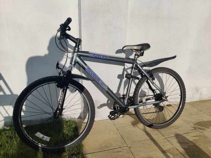 Hybrid bike