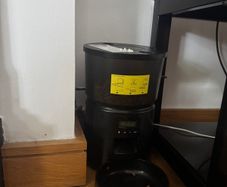 cat automatic feeder