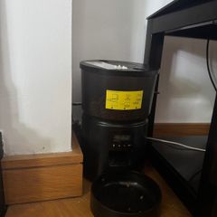 cat automatic feeder