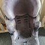 car seat Image 2