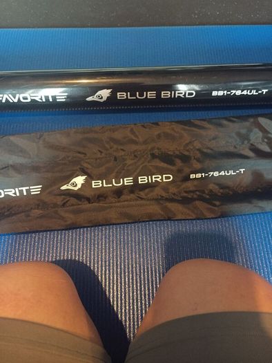 Favorite bluebird compact/travel 1-7g 764