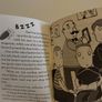 Indie Kidd: Oops, I Lost My Best(est) Friends Storybook Image 5