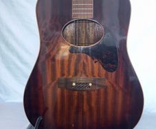 Daion 12-String Acoustic Guitar