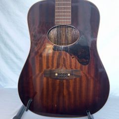 Daion 12-String Acoustic Guitar