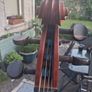 cello Image 7