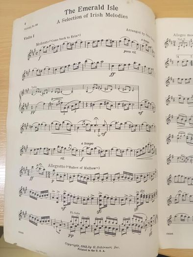 The Emerald isle A Selection of Irish Melodies 1913