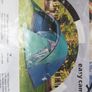 4 person tent Image 3