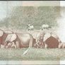 Kenya | 1,000 Shillings | 2010 | P.51e | DQ 8802963 | aUNC Image 2