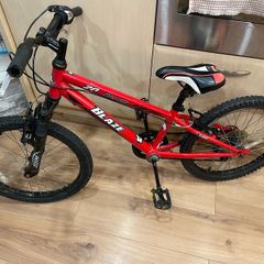 Kids Bike 20 inch