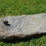 Antique agricultural drill stone. Image 2