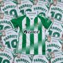 Troy Parrott Real Betis football Jersey Image 2