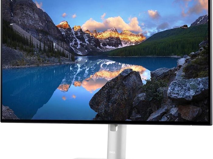 DELL U2422H UltraSharp 24" FHD (1920x1080) LCD IPS Pivot Monitor/ Used