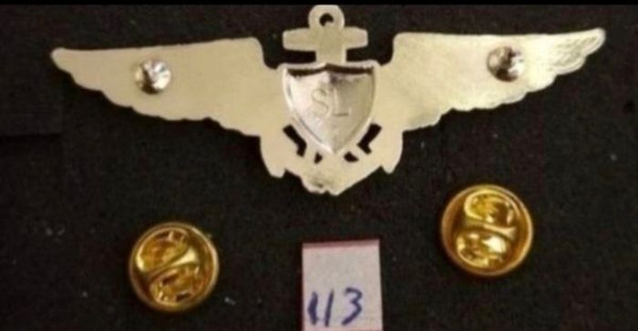 United states, naval aviation wings ,usmc ,,,,,(113)
