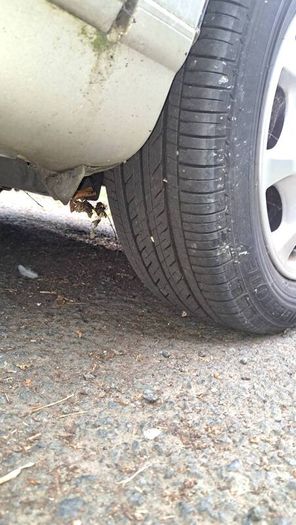 2002 Toyota Progres