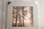 New large linen sepia canvas picture
