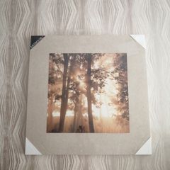 New large linen sepia canvas picture