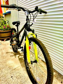 Brand new Apollo Gridlock junior mountain bike