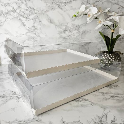 rectangle cake box trasparent