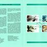 1999 Bundes Republic Deutschland (Germany) Federal Annual Stamp EFT Collection with 51 images of contents Image 9