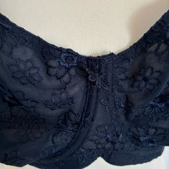 Navy Bra 38DD new with tags