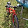 Frog bike size 48 / 16 inch Image 3