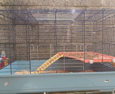 Rabbit/Guinea Pig cage