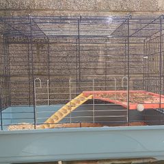 Rabbit/Guinea Pig cage