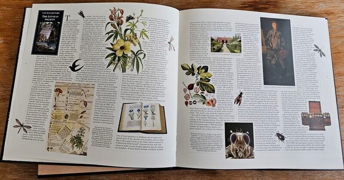 Great Britain 1988 Royal Mail Special Stamps Book