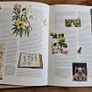 Great Britain 1988 Royal Mail Special Stamps Book Image 9