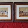 2 Piece Vanessa Jayne Large Wooden And Glass Framed Prints - Lion Family And Zebra Family Image 7