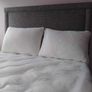 bedframe with mattress Image 4
