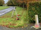 Garden Maintenance Image 8